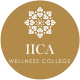 IICA Logo